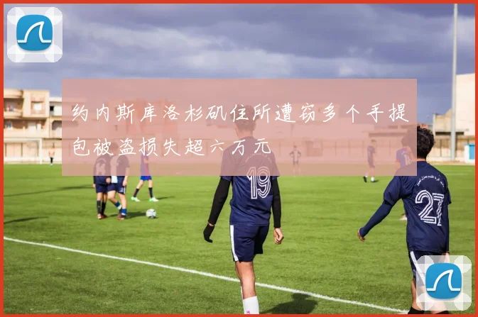 约内斯库洛杉矶住所遭窃多个手提包被盗损失超六万元