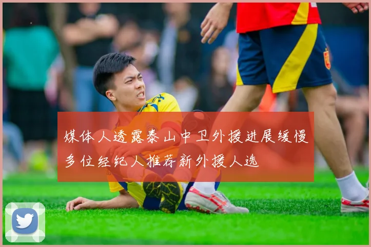 媒体人透露泰山中卫外援进展缓慢多位经纪人推荐新外援人选