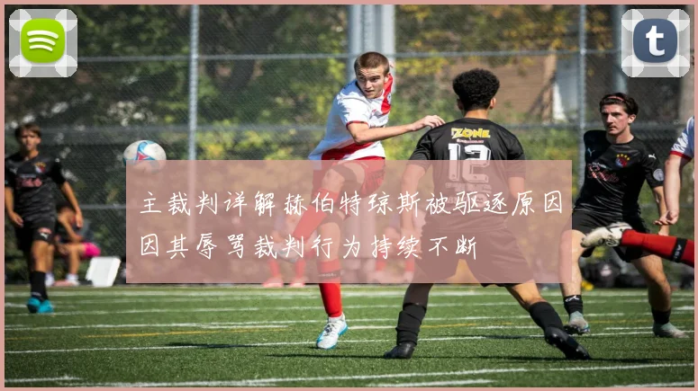 主裁判详解赫伯特琼斯被驱逐原因因其辱骂裁判行为持续不断