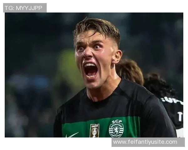 厄德高复出北伦敦德比在望约克雷斯缺席可能性增大 厄德高复出北伦敦德比在望约克雷斯缺席可能性增大