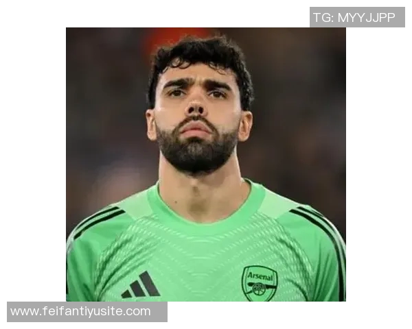 加布里埃尔与拉亚联手创造英超零封记录各自领跑中卫和门将榜单